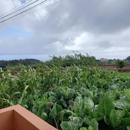 Peaceful Place In Porto Moniz בית נופש Achadas da Cruz