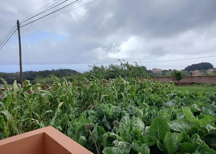 Peaceful Place In Porto Moniz Nyaraló Achadas da Cruz